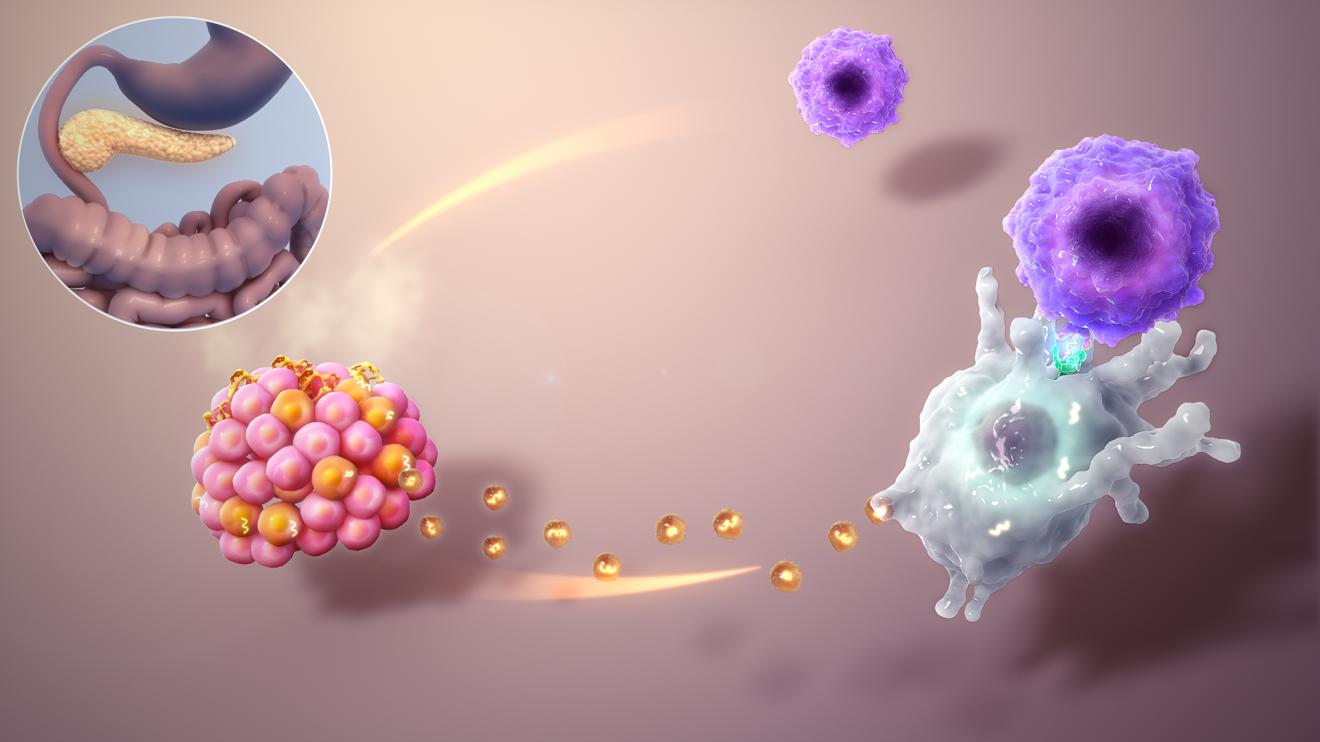 Type_1_Diabetes_Mellitus